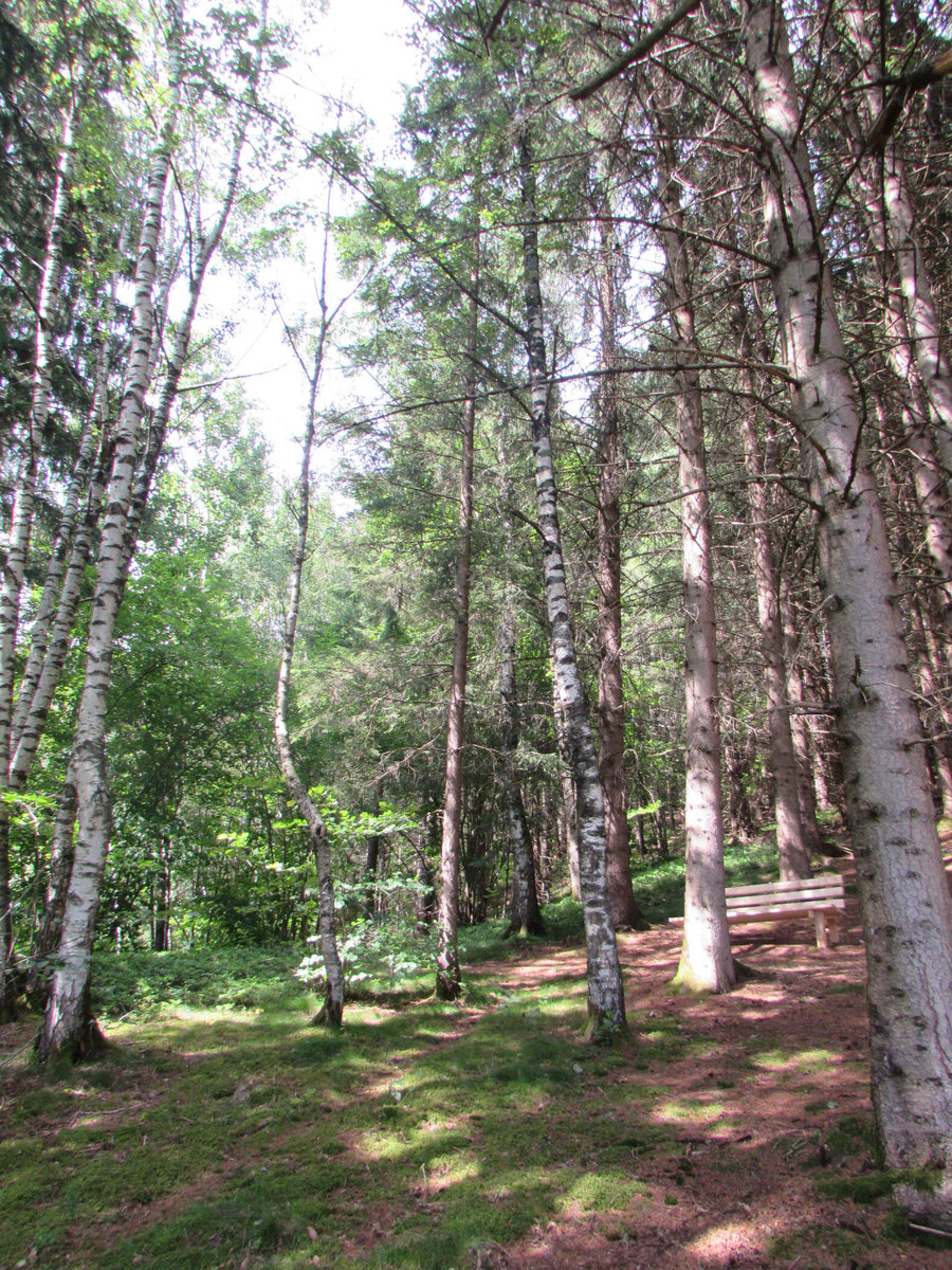 Naturbestattung Waldesruhe Mittersill 